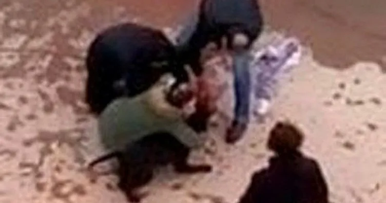 Rakamlar acı tabloyu ortaya döktü! Sokak hayvanlarının saldırılarında 92 kişi hayatını kaybetti