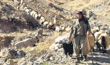 Andok Dağı’nda barış rüzgârları esiyor