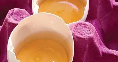 Yumurta ve Beslenme