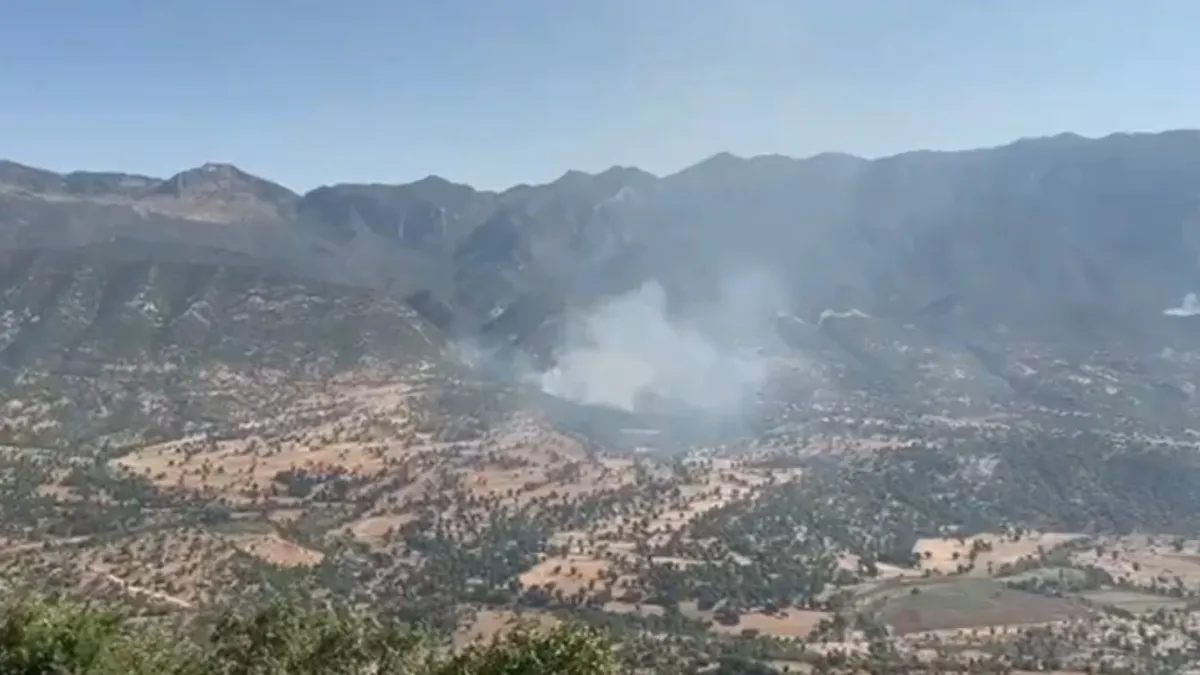 PKK'dan alçak plan! MSB duyurdu: Ormanları yakarak gizlenmeye çalışıyorlar