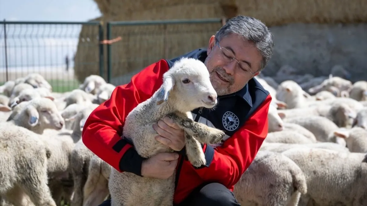 Küçükbaşa Destek Projesi ile ayda 15 bin yılda 180 bin lira destek Küçükbaşa Destek Projesi ile ayda 15 bin yılda 180 bin lira destek