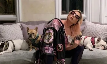 Ünlü şarkıcı Lady Gaga’nın yardımcısı vuruldu, köpekleri çalındı