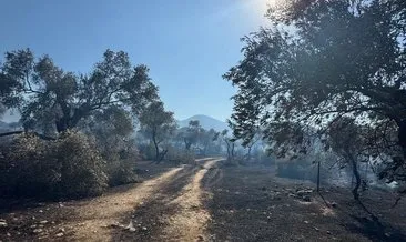 Bakan Yumaklı’dan Milas yangınıyla ilgili sevindiren haber geldi #mugla
