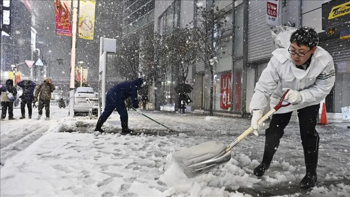 Japonya'da şiddetli kış can alıyor! Ölü sayısı 46'ya yükseldi