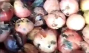 Son dakika haberi: TikTok’ta mide bulandıran ’çürük elma’ videosu! Millet ne içtiğini görsün diyerek paylaştı
