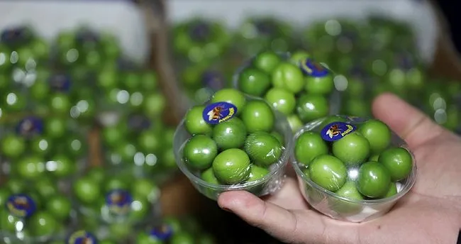 ilk hasat yesil erik tezgahlara geldi