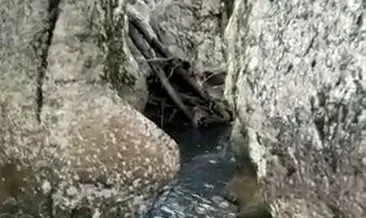 Kastamonu Horma Kanyonu’nda suya düşen karaca kurtarıldı