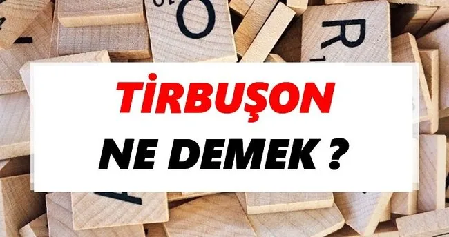 Tirbuşon Ne Demek? TDK’ya Göre Tirbuşon Sözlük Anlamı Nedir?