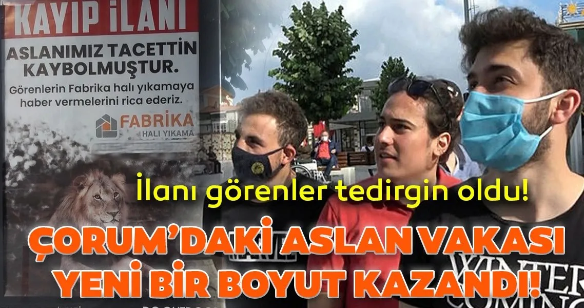 Corum Bu Ilani Konusuyor Aslanimiz Tacettin Kaybolmustur En Son Haber