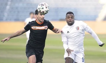 Toros kaplanı hayat buldu