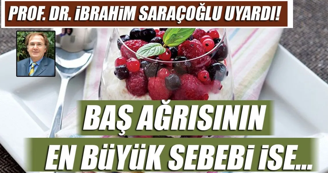 prof dr ibrahim saracoglu uyardi