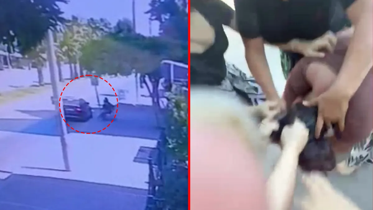 Antalya’da korku dolu anlar! Çocuğuyla bankta oturan kadına saldırdılar: Hem darbettiler hem de videoya aldılar! Antalya’da korku dolu anlar! Çocuğuyla bankta oturan kadına saldırdılar: Hem darbettiler hem de videoya aldılar!
