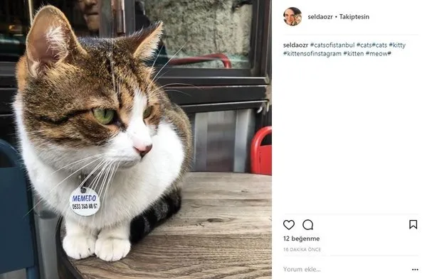 Ünlülerin Instagram paylaşımları (13.03.2018)