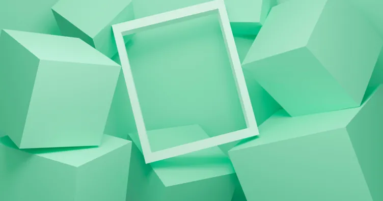 Karenin iç açıları toplamı kaç derece? Karenin iç açıları kaç derecedir ve toplamı kaçtır?