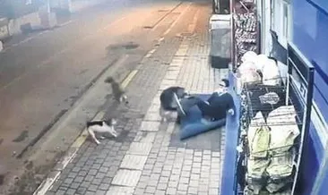 Sokak köpekleri bacağından ısırdı