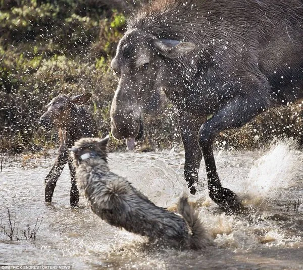 Dünyadan günün fotoğrafları (7 Mayıs 2013)
