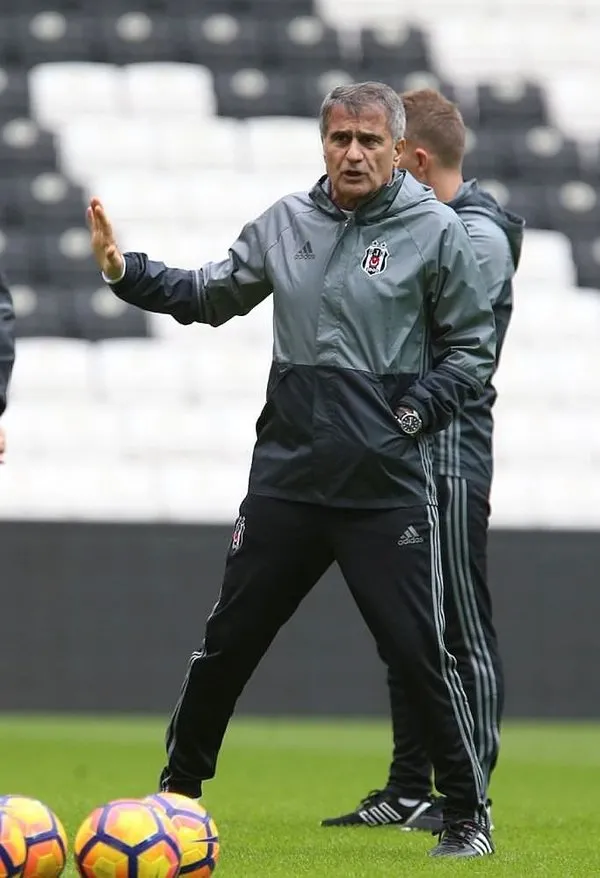 Şenol Güneş: Favori Lyon
