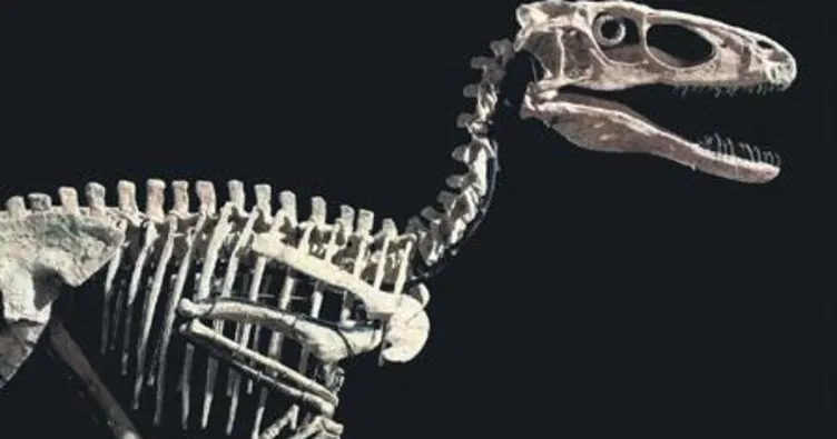 Jurassic Park’a ilham olan iskelete 12.4 milyon dolar