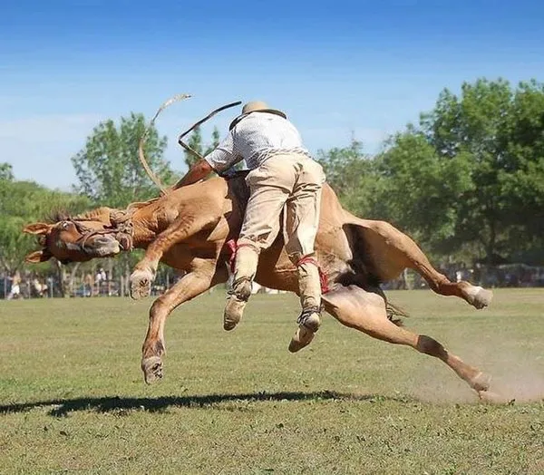Zamanlaması harika fotoğraflar
