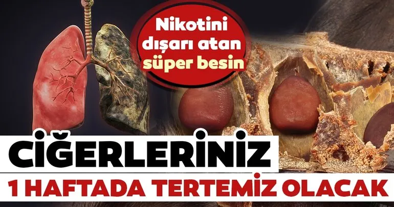 Nikotini vücuttan atmaya yardımcı besinler nelerdir? İşte ciğerleri temizleyen süper besinler...