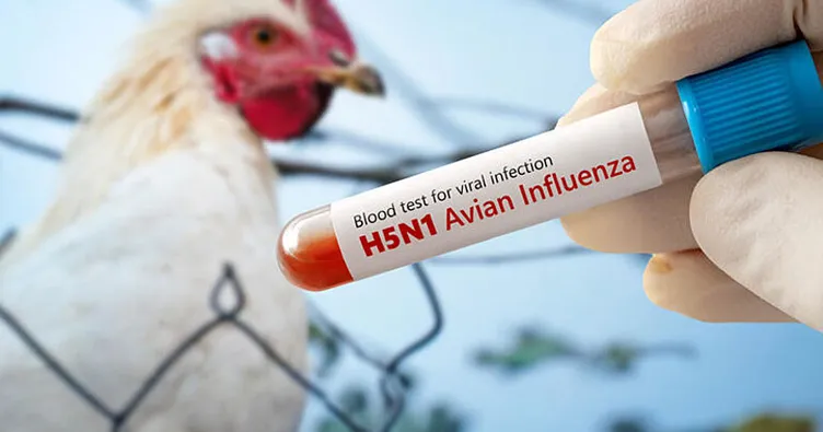 Meksika’da kuş gribi ölüm getirdi: 3 yaşındaki çocuk hastalığa yenik düştü