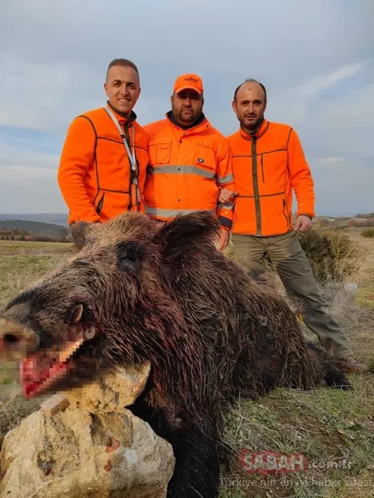220 kiloluk canavar saldırdı! Ölümden döndüler: Büyük uğraş verdik