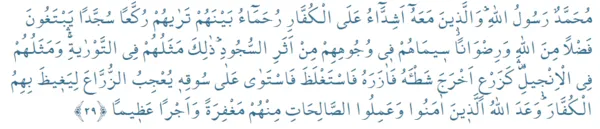 fetih-suresi-29-ayet-fetih-suresi-29-ayeti-okunusu-ve-anlami-1642662825316.png