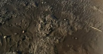 Fethiye’de denizin çekilmesiyle denize dökülen atıklar ortaya çıktı #mugla