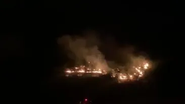 Şanlıurfa’da ormanlık alanda yangın çıktı