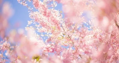 İkinci cemre ne zaman düşecek? Baharın habercisi ikinci cemre suya hangi tarihte düşüyor?