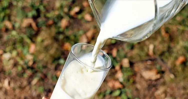 Türkiye’de 21,5 milyon ton çiğ süt üretildi