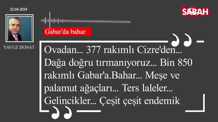 Yavuz Donat | Gabar'da bahar