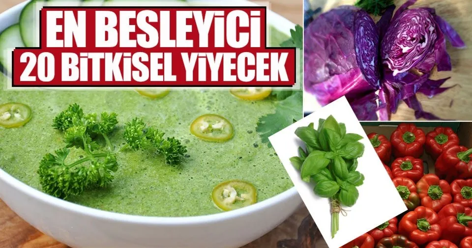 en besleyici 20 bitkisel yiyecek en