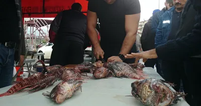 Eğer doğru temizleyebilirseniz...