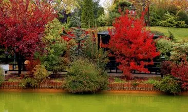 Kuğulu ve Japon Parkı hazan renklerine büründü