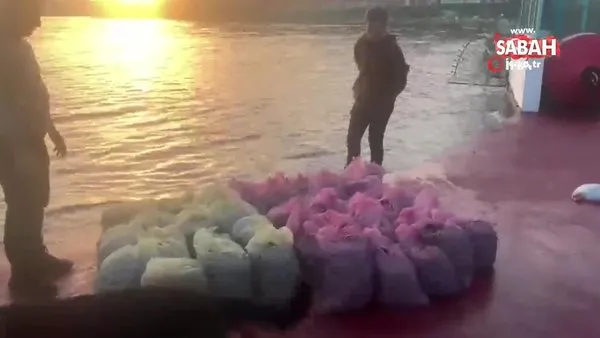 İstanbul’da 1 ton kaçak midye ele geçirildi | Video