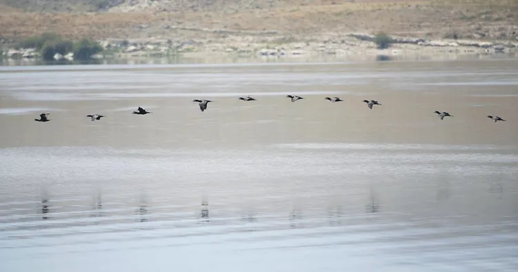 Kuş cennetinde fotoğraf avı