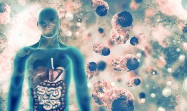 Bağışıklığı güçlendirmek için ne yapılır? Bağışıklık sistemini güçlendirici bitkisel karışım takviye ve yiyecekler nelerdir?