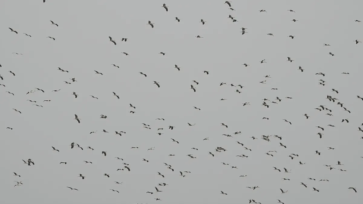 Hatay’da gökyüzünü kaplayan o görüntü: Herkes kafasını kaldırıp aynı noktaya baktı!