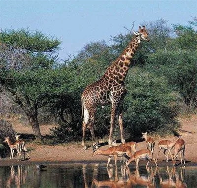 Güney Afrika'nın en gözde turistik mekanları