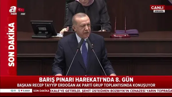 Cumhurbaşkanı Erdoğan'dan 'Türk Konseyi' açıklaması