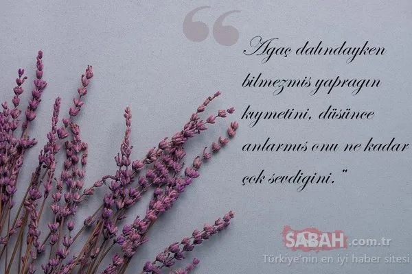 Doğum yıl dönümde Mevlana'yı anıyoruz...Mevlana'nın 10 özlü sözü