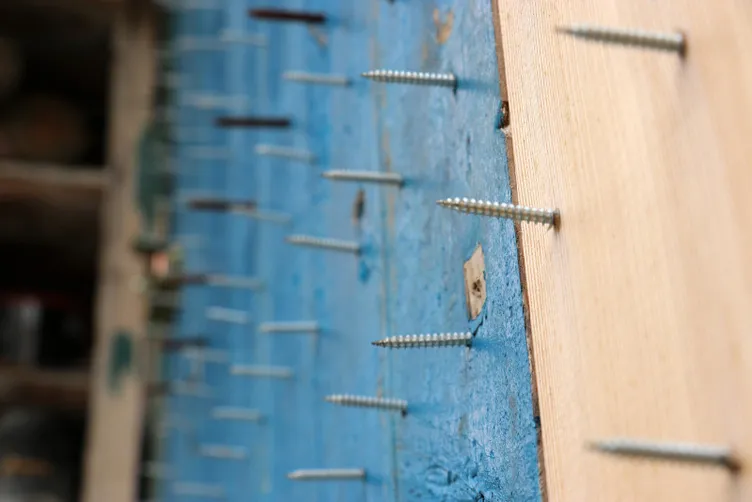 Korku filmi değil gerçek: Ayılardan korunmak için öyle bir yöntem denediler ki…