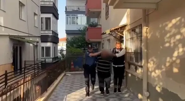 1785478942518.jpg
