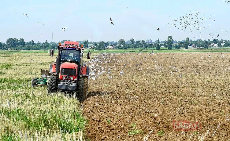 SON DAKİKA: İki yıl ekilmeyen tarım arazileri kiralanacak: Yeni uygulama nasıl olacak?