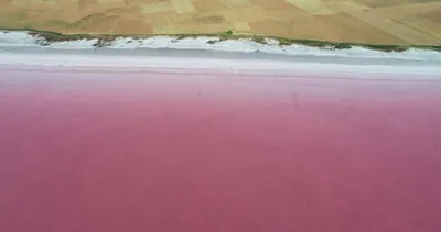 Tuz Gölü’nde kırmızı beyaz şölen