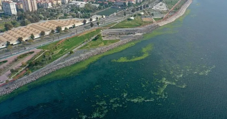 İzmir’deki kötü koku tartışmasına DSİ bölge müdürü de katıldı: Kanalizasyon döşemek kimin işi?