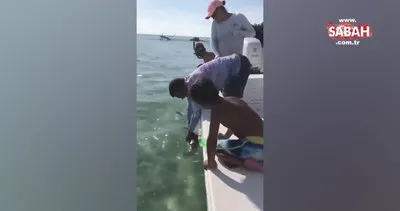 Teknede dehşet! Yavru köpek balığı bir anda parmağını koparttı | Video