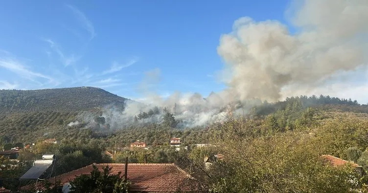 Muğla’da orman yangını: Alevler kontrol altına alındı