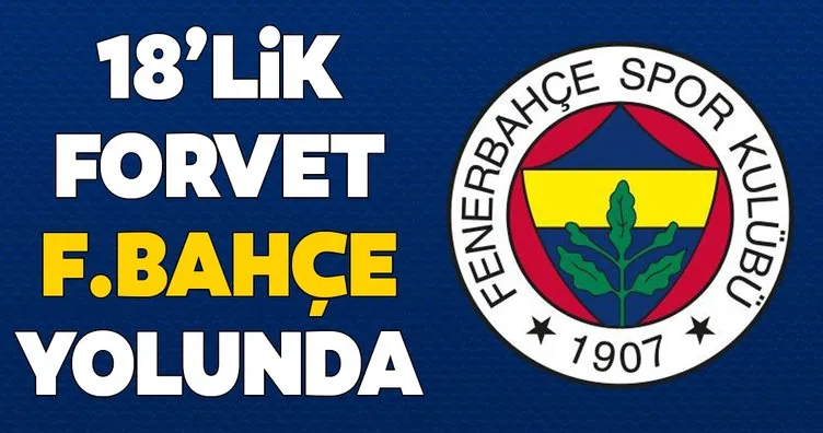 18’lik forvet Fenerbahçe yolunda